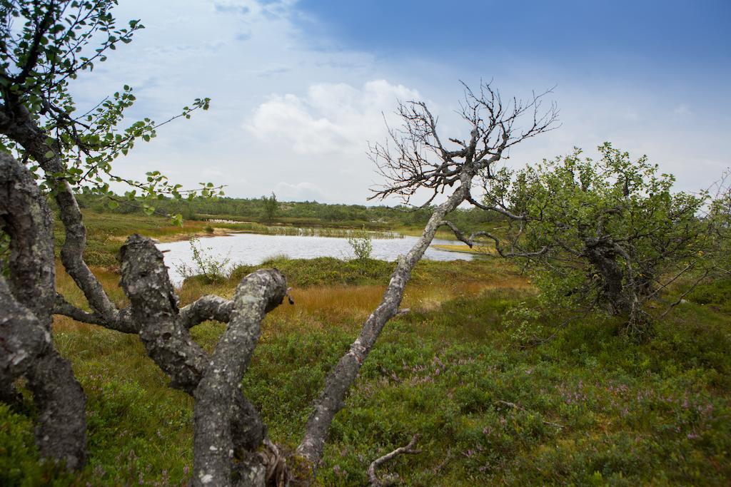 Fulufjaellsgarden Hostel Morkret Luaran gambar